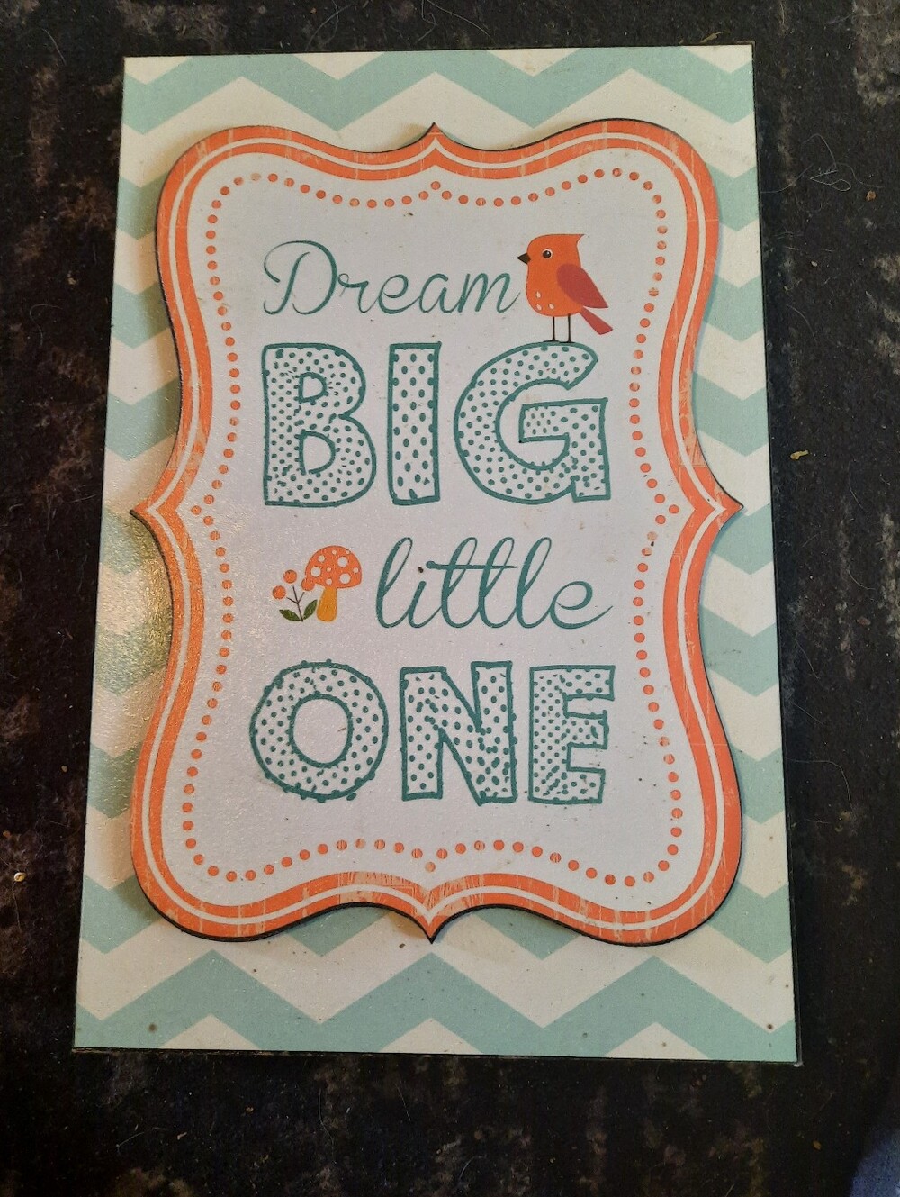Dream Big Little One Decorative Plaque - Teal & Coral